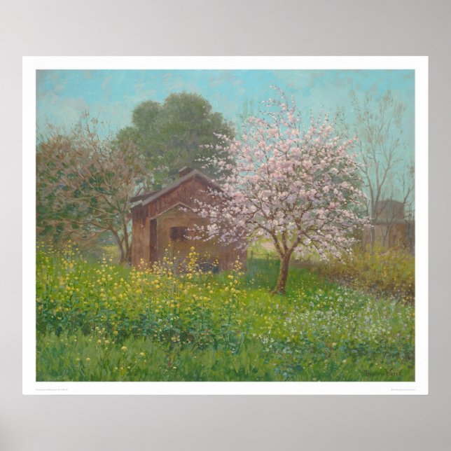Poster Fleurs d'amandes et moutarde sauvage (1152) (Devant)