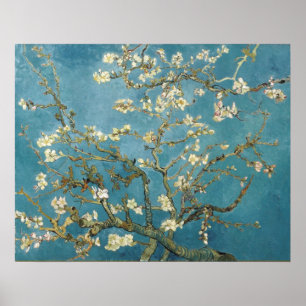 Poster Fleurs d'amandes par Vincent van Gogh