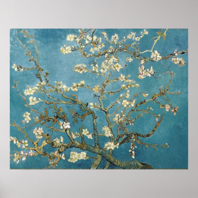Poster Fleurs d'amandes par Vincent van Gogh (Devant)