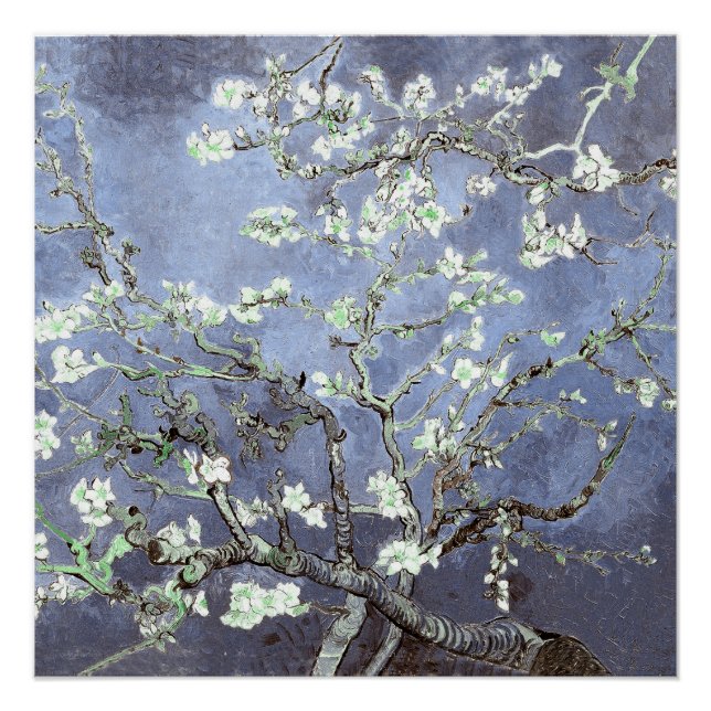 Poster Fleurs d'amandier de Van Gogh Bleu Acier (Devant)