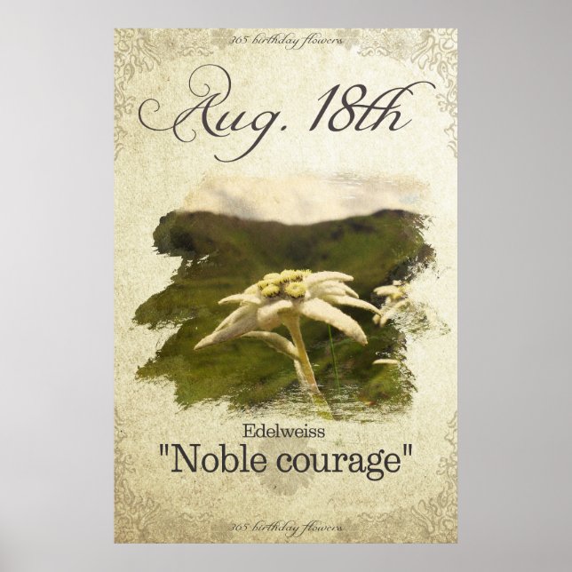 Poster Fleurs d'anniversaire le 18 août "Edelweiss" (Devant)