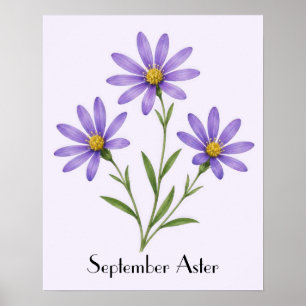 Poster Fleurs d'Aster de Septembre
