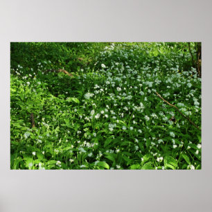 Poster Fleurs de bois