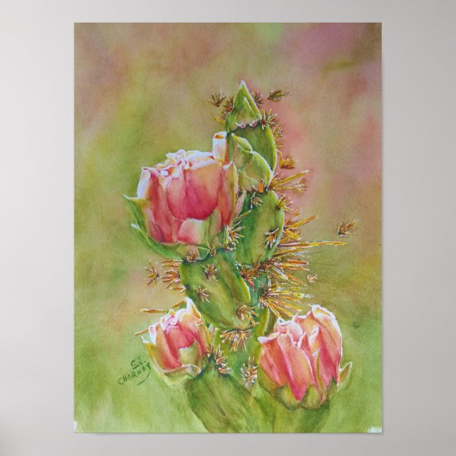 Poster Fleurs de cactus (Devant)