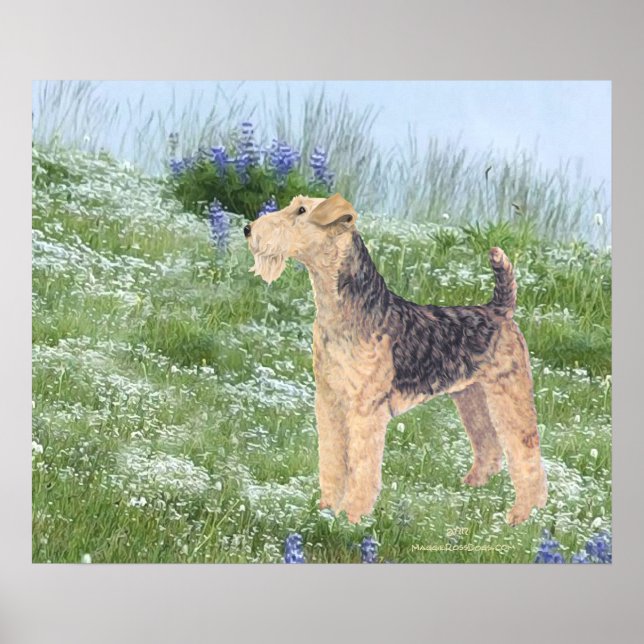 Poster Fleurs de campagne (Devant)