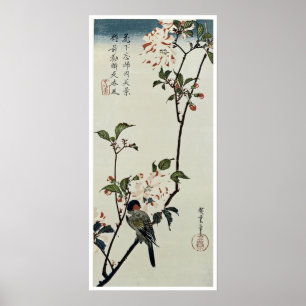 Poster Fleurs de cerisier et petit oiseau