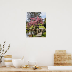 Poster Fleurs de cerisier roses et passerelle en bois