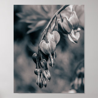 Poster Fleurs de Cœur Saignant Noir et Blanc, F Romantiqu