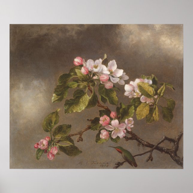 Poster Fleurs de colibri et de pomme (Devant)