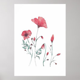 Poster Fleurs de coquelicot aquarelle