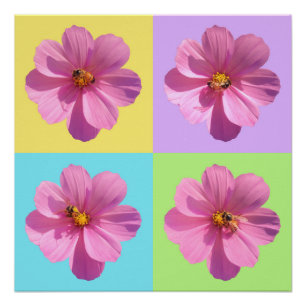 Poster Fleurs de cosmos à quatre panneaux avec abeille