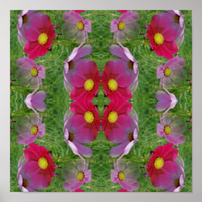 Poster Fleurs de Cosmos Nature Abstraite (Devant)