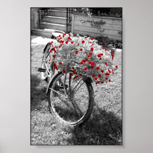 Poster Fleurs de couleur rouge isolée Vélo noir et blanc