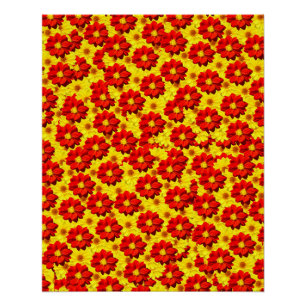 Poster Fleurs de dahlia rouges et jaunes