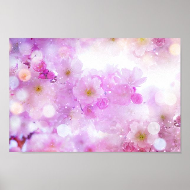 Poster Fleurs de fleurs de cerisier rose (Devant)