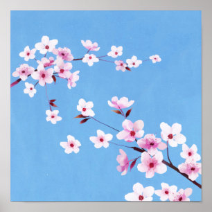 Poster Fleurs de fleurs de cerisiers en fleurs du ciel bl