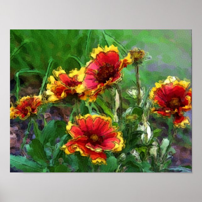 Poster Fleurs de Gaillarde Aquarelle (Devant)