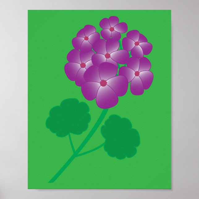 Poster Fleurs de géranium (Devant)