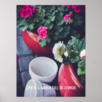Fleurs de géranium de jardin roses et blanches