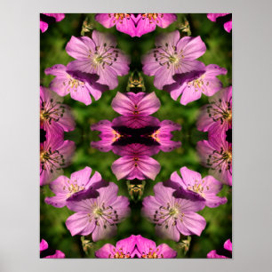 Poster Fleurs de géranium Multipliées Abstraites
