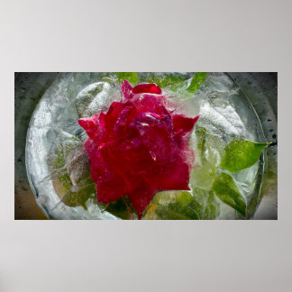 Poster Fleurs de Glace
