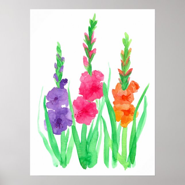 Poster Fleurs de gladiolus Aquarelle violette rose orange (Devant)