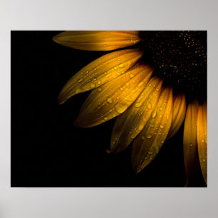 Poster Fleurs de jardin 28 tournesol