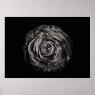 Poster Fleurs De jardin En Noir Et Blanc No 72
