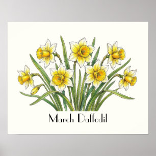 Poster Fleurs de jonquilles de mars