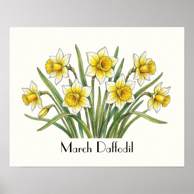 Poster Fleurs de jonquilles de mars (Devant)