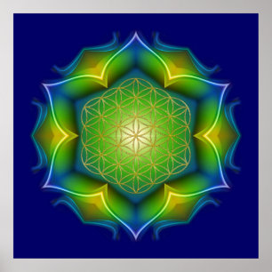 Poster FLEURS DE LA VIE / Blume des Lebens - Mandala V