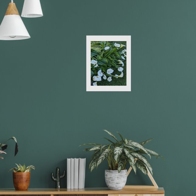 Poster Fleurs de lis calla blanc (Salon 1)