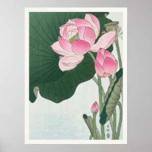 Poster Fleurs de Lotus en fleurs Ohara Koson Art japonais
