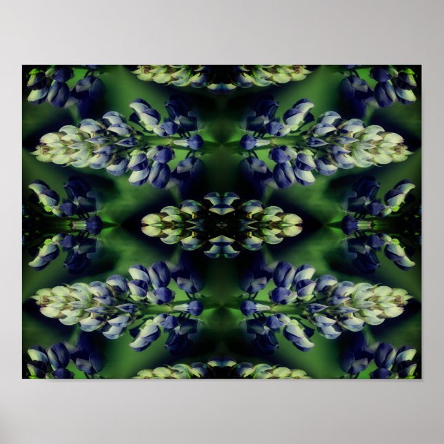 Poster Fleurs de Lupine Bleu Sauvage Nature Abstraite (Devant)