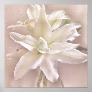 Poster Fleurs de Lys Rougissent