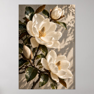 Poster Fleurs de magnolia blanches dans la lumière nature
