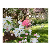 Fleurs de mai roses réjouissez-vous toujours