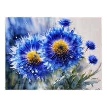 Fleurs de maïs stylisées, fleurs sauvages
