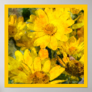 Poster Fleurs de marguerite jaune Aquarelle