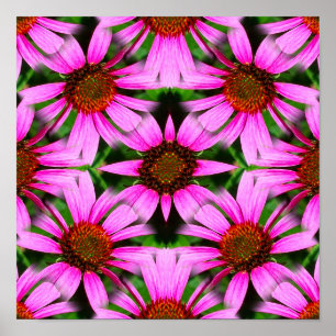 Poster Fleurs de marguerite rose miroir Abstrait