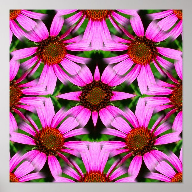 Poster Fleurs de marguerite rose miroir Abstrait (Devant)