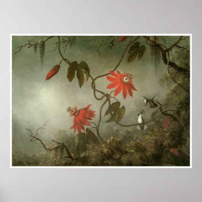 Poster Fleurs de passion et colibris (Devant)