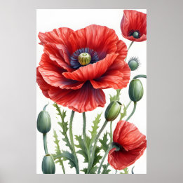 Poster Fleurs de pavot romantiques Art numérique en fleur