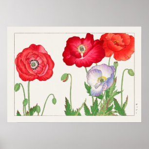Poster Fleurs de pavot, rouge et violet, par Tanigami Kon