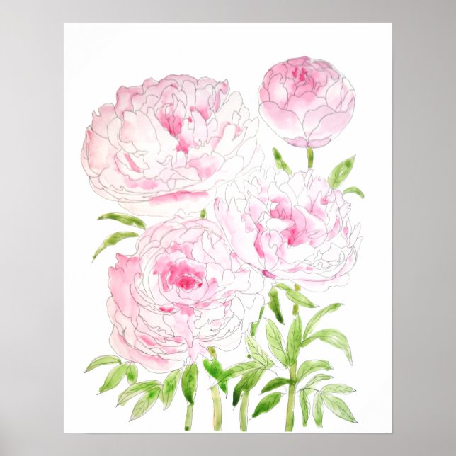 Poster fleurs de pivoine rose aquarelle et encre (Devant)