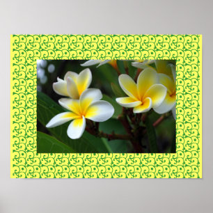 Poster Fleurs de Plumeria Blissful Hawaïen Frangipanier