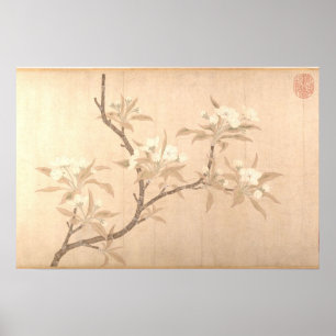 Poster Fleurs de poirier Antique Oriental ca.1280