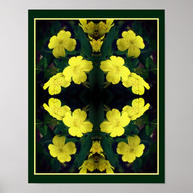 Poster Fleurs de Primrose Jaune Abstraites (Devant)