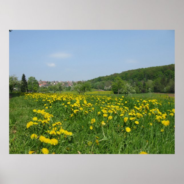 Poster Fleurs de printemps jaunes dans une prairie verte (Devant)