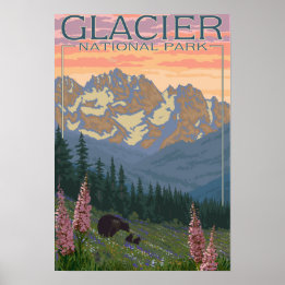 Poster Fleurs de printemps - Parc national des Glaciers, 